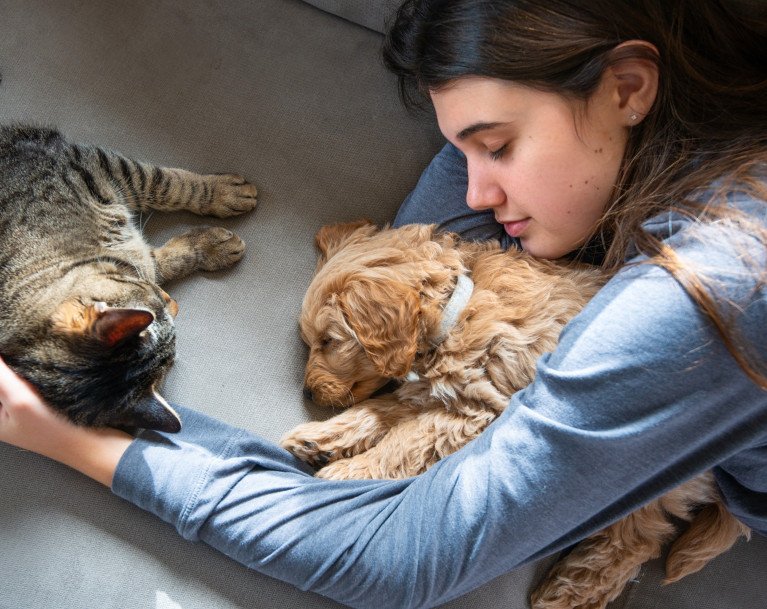 girl on sofa with puppy and cat